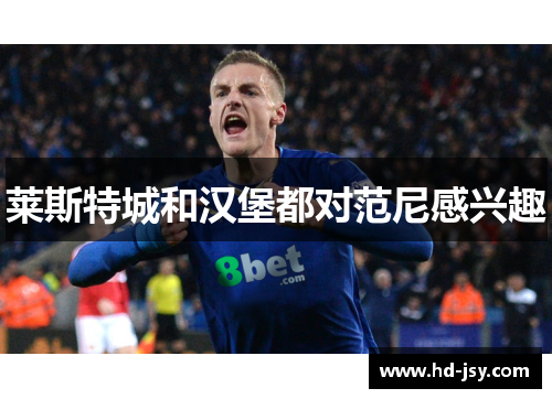 莱斯特城和汉堡都对范尼感兴趣